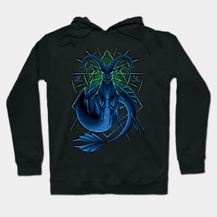 Capricorn Zodiac Stars Hoodie